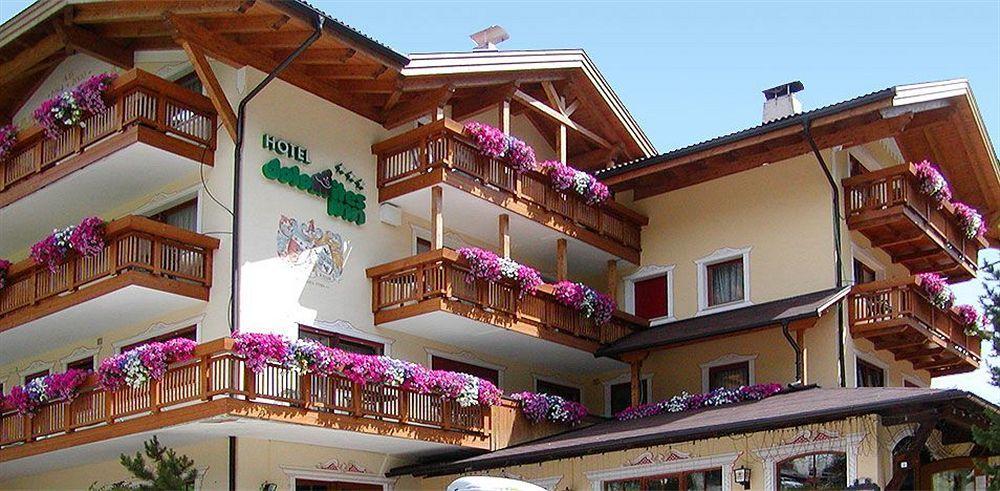 Hotel Dolomites Inn Каназей Екстериор снимка